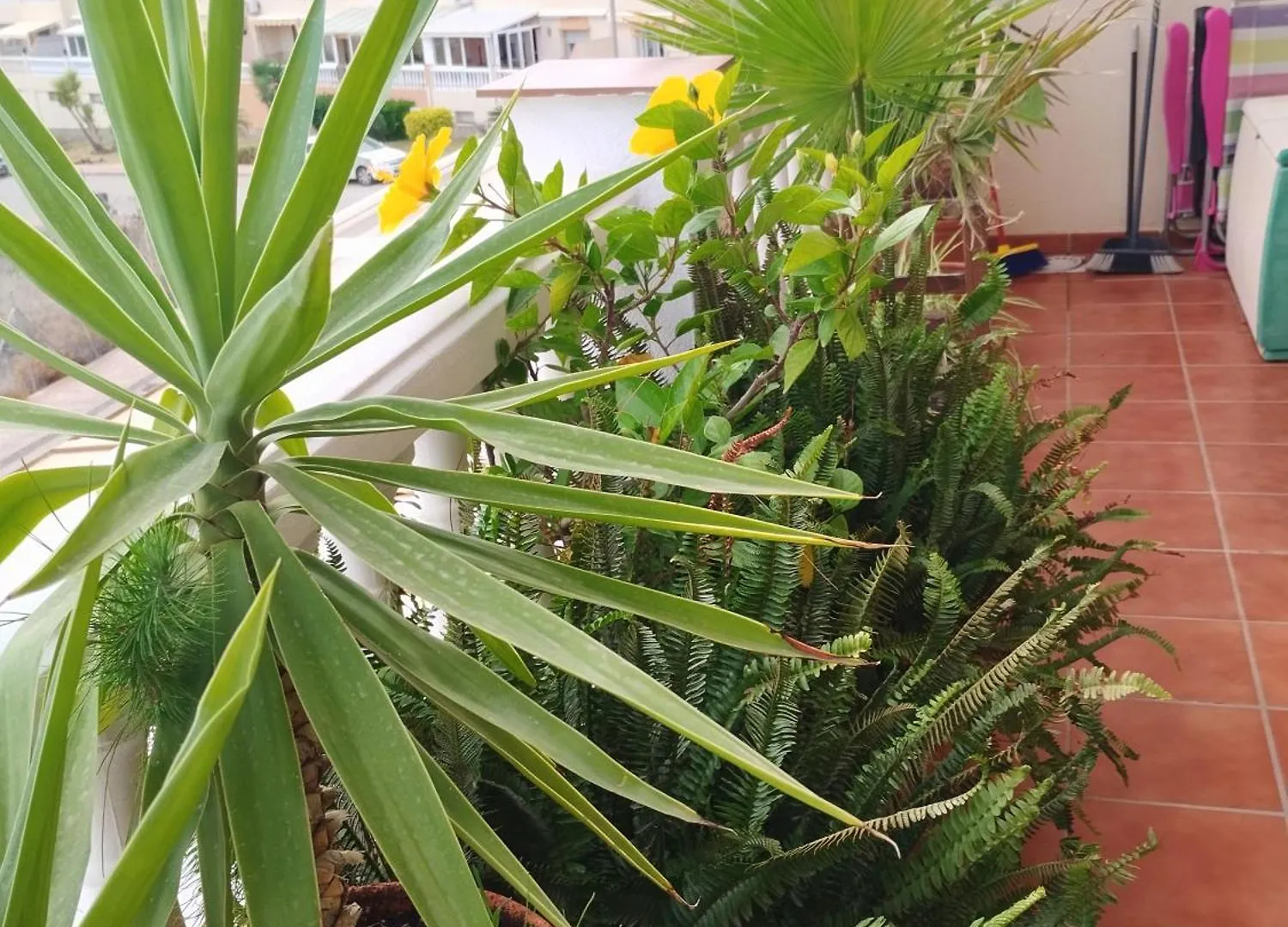 Casa Carino Apartment Torrox